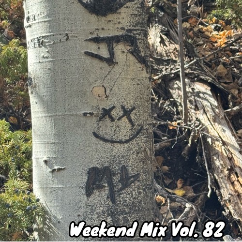 Stream Weekend Mix Vol. 82 by MikeLitz | Listen online for free on ...
