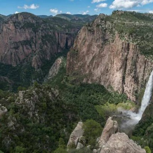 Stream Weichert Harrell GroupUnveiling the Hidden Gems Fun Things to