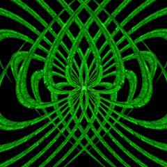 022025 - entropic reality