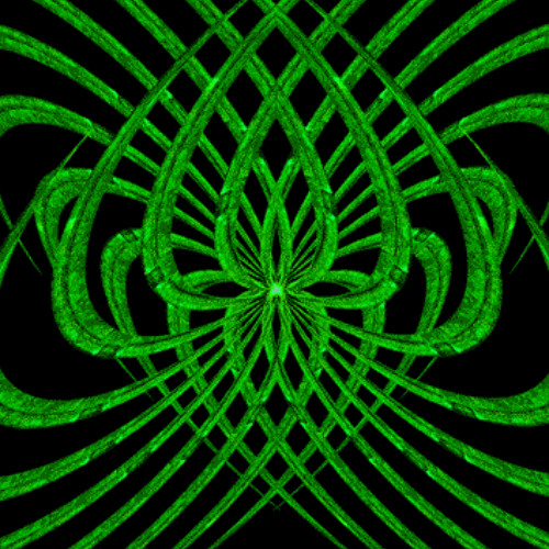 022025 - entropic reality