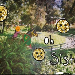 The Sister I Once Knew