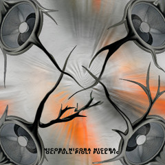 Nicoba - FULL PIOLI
