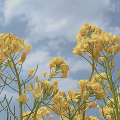 추억은 한 편의 산문집 되어