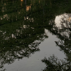peace of mind