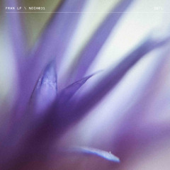 PREMIERE | Fran LF - Disco Sentimento [NECHTO Records]