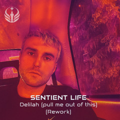 Fred Again.. - Delilah (pull me out of this) (Sentient Life Rework)