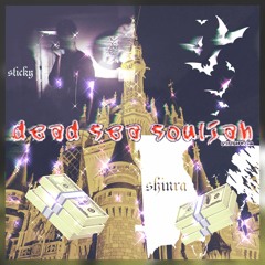 Dead Sea Souljah (ft. shinra & Sticky)