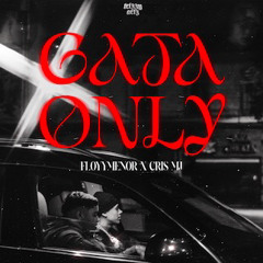 Gata Only (Clout Edit) - FloyyMenor, Cris MJ