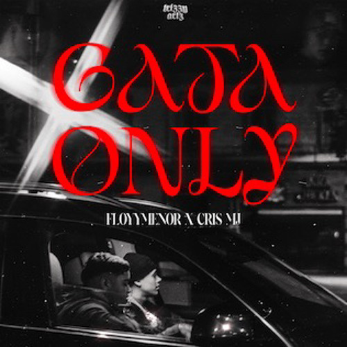 Gata Only (Clout Edit) - FloyyMenor, Cris MJ