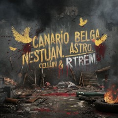 Canário belga, Nestuan, Astro, Rtrem E cellin