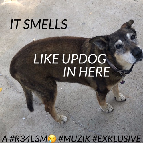 "IT SMELLS LIKE UPDOG IN HERE" A #R34L3M😢 #MUZIK #EXKLUSIVE