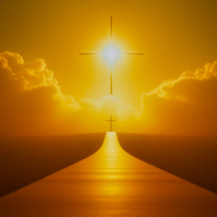 Seek What Is Above