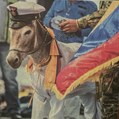 Comprensión