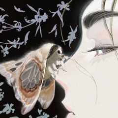 chcialbym miec swiadomosc przy wydaniu piosenki veracocha - carte blanche