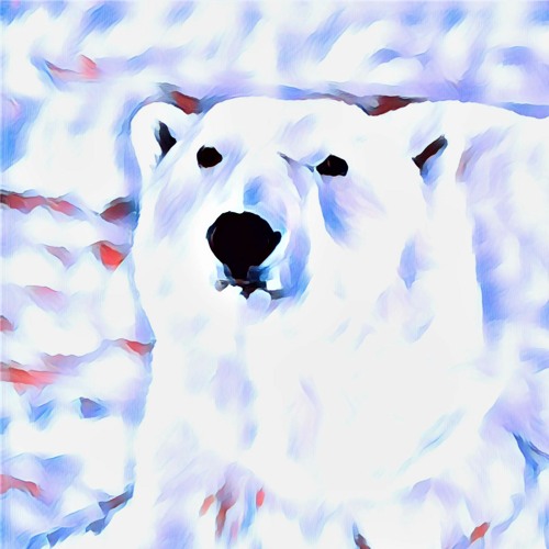 Polar Bear for Christmas