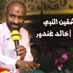 يا عاشقين النبي | المنشد أحمد غندور | من التراث المدني الحجازي