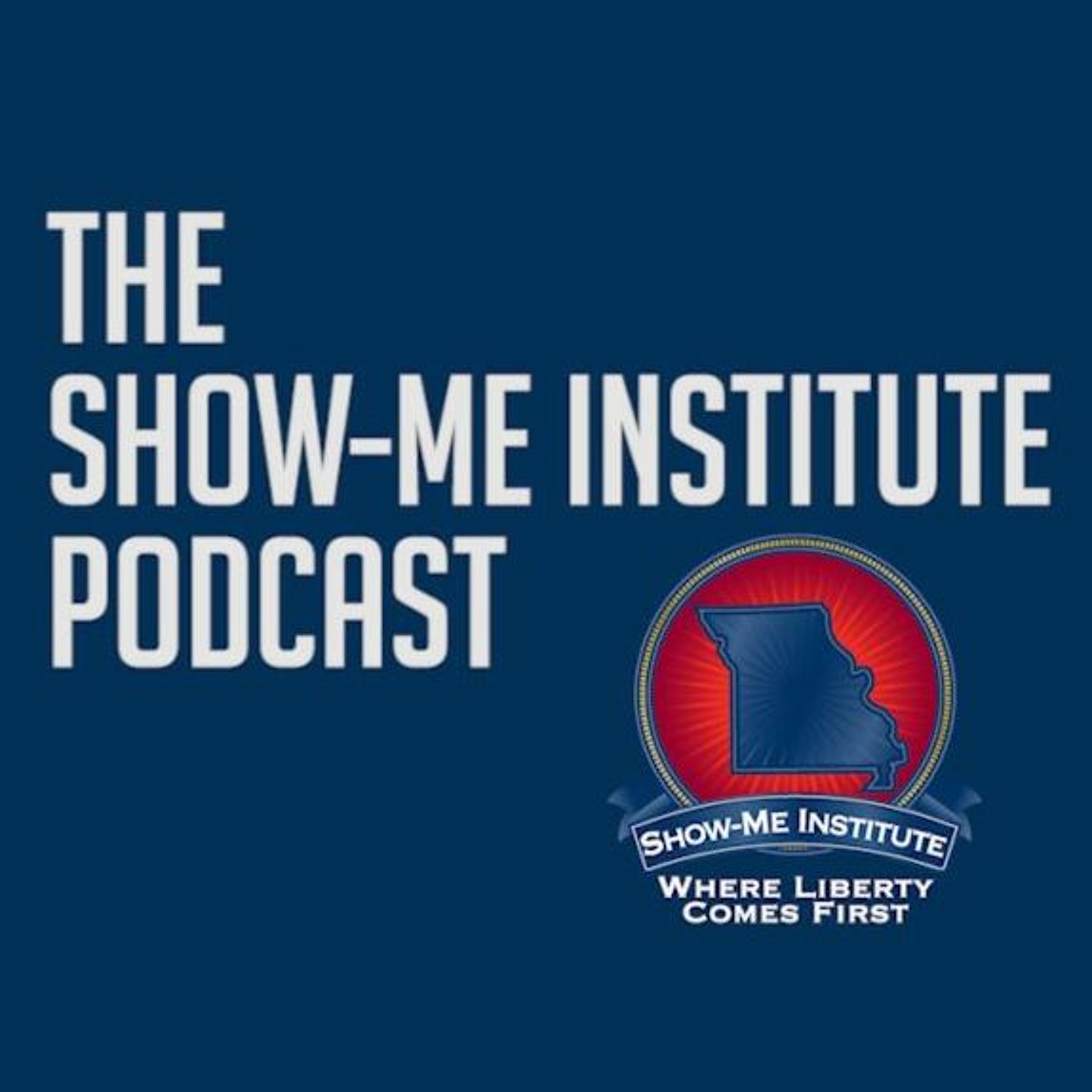SMI Podcast: The GameStop Revolution - Dr. Howard Wall