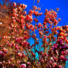 "Endless Story" (Running Miles) Neuer Mix