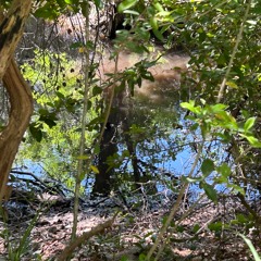 By The Creek-(The Sound of Bliss) raw and unedited
