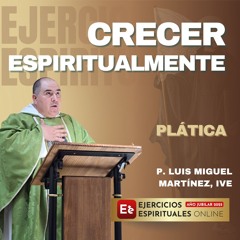 Reglas que nos ayudan a crecer espiritualmente en estos ejercicios - P. Miguel Martínez -EE 2025