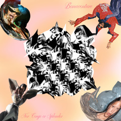 NOR CONGO OR SPLENDOR