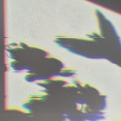 Flying (The 5-Year Migration)