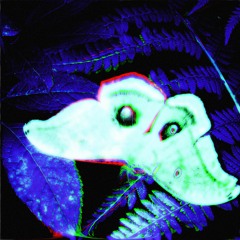 Evo Auxilium Remixes