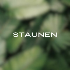 Staunen - (P. George Elsbett LC)