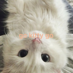 go kitty go nightcore