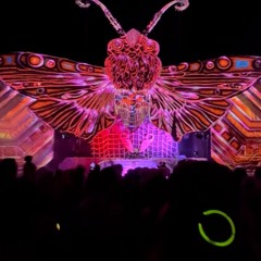 JAX FANTASY SET @ Dragon Dreaming