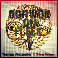 Oohwok on Fleek (feat. Sidney Samson)