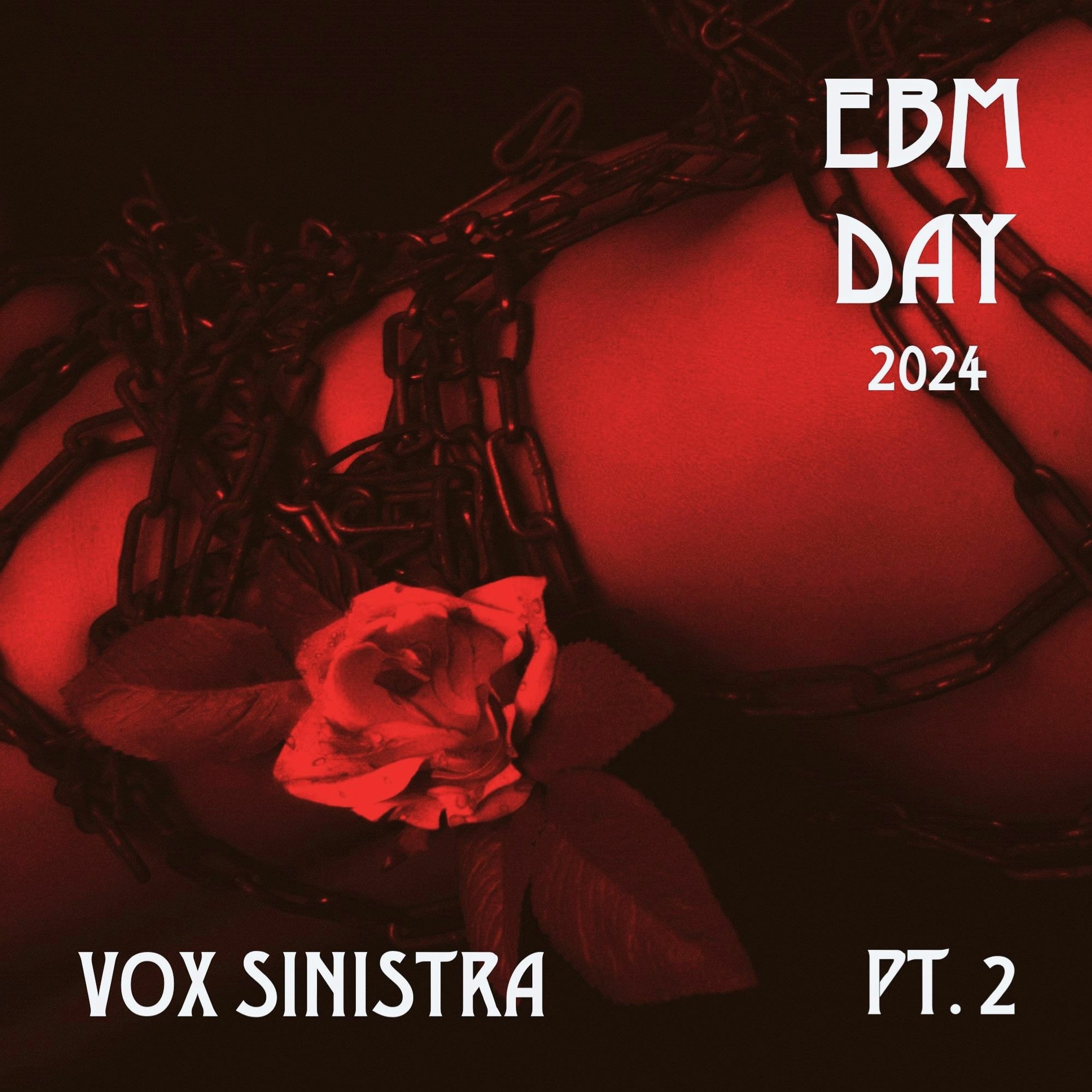 EBM Day 2024 - Live @ Seasonal Affective Disco (Set 2) episode artwork