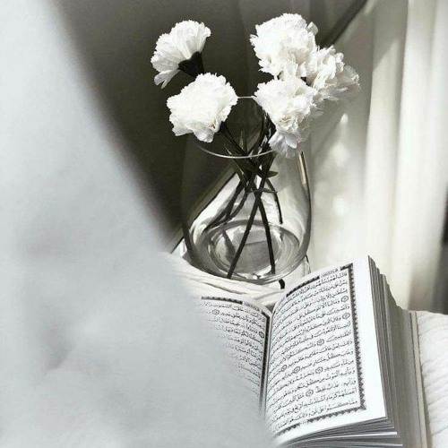مِّنَ الْمُؤْمِنِينَ رِجَالٌ صَدَقُوا مَا عَاهَدُوا اللَّهَ عَلَيْهِ | محمد عبادة