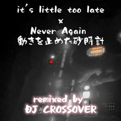 it's little too late x Never Again