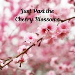 Just Past the Cherry Blossoms