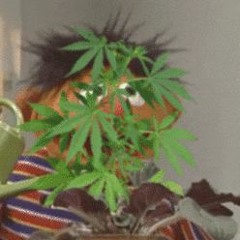 Higher living