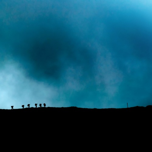 Osnovy Konservatsii (Fundamentals Of Conservation), 115 BPM/WAV