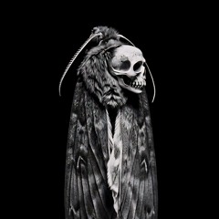 𝕿𝖗𝖎𝖕𝖜𝖎𝖗𝖊