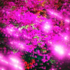 ONLY WAY IS UP (prod. by Danny Vance)