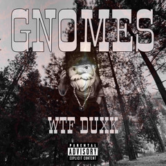 GNOMES (prod. Rollie)
