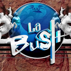 La Bush in a nutshell 28