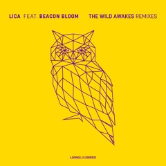 The Wild Awakes feat. Beacon Bloom - LICA (Art in Motion Remix)