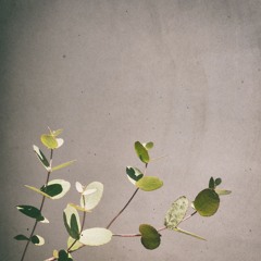 the small things | Album 'TWENTY-FOUR'
