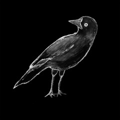 The Blackbird's Waltz