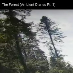 The Forest (Part I of the Ambient Diaries)
