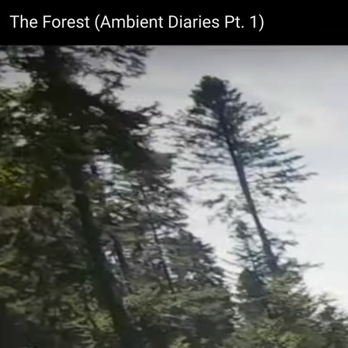 The Forest (Part I of the Ambient Diaries)