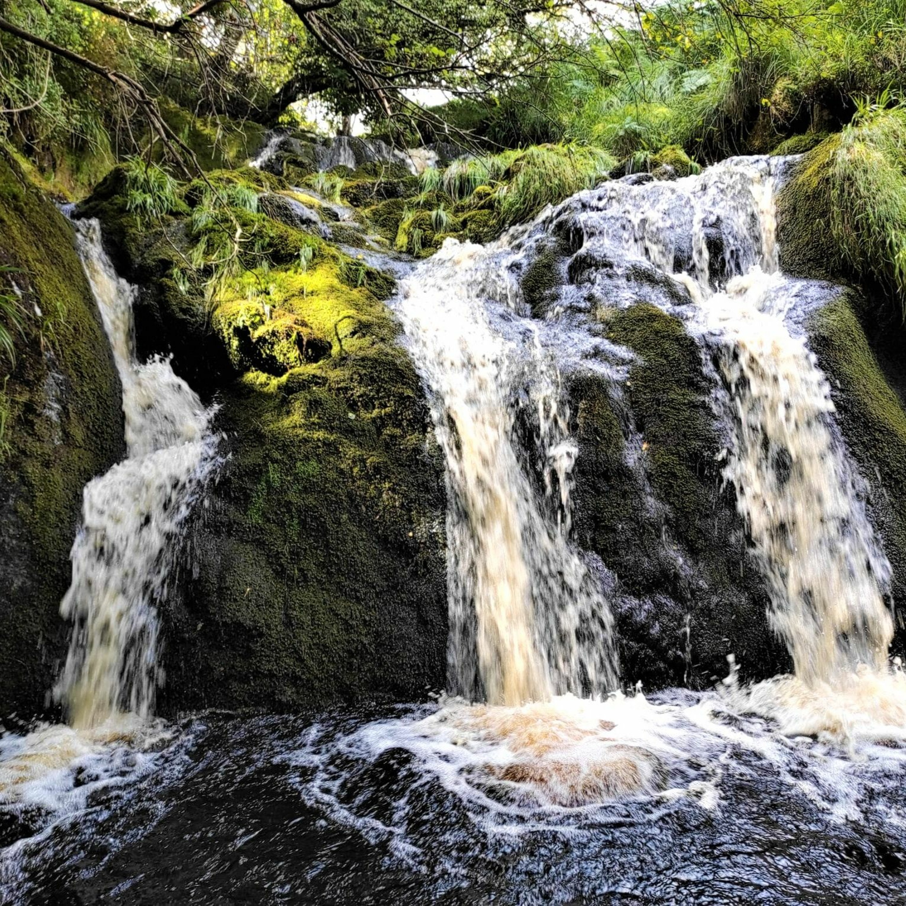 Peche en irlande
