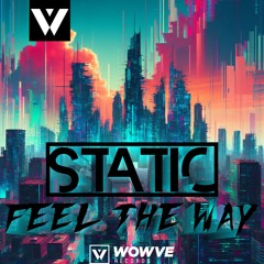 Static - Feel The Way - WOWVE Records
