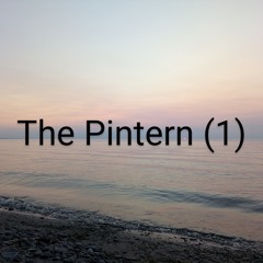 The Pintern (1)