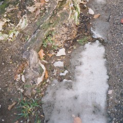 Rahapole